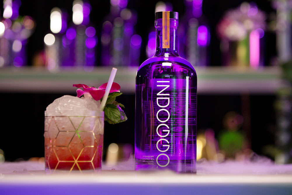 Snoop Dogg creates 'Gin & Juice'-inspired Indoggo Gin - FoodBev Media